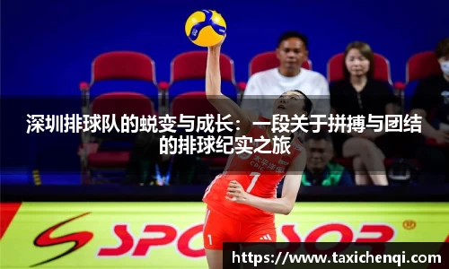 boyu博鱼官方app